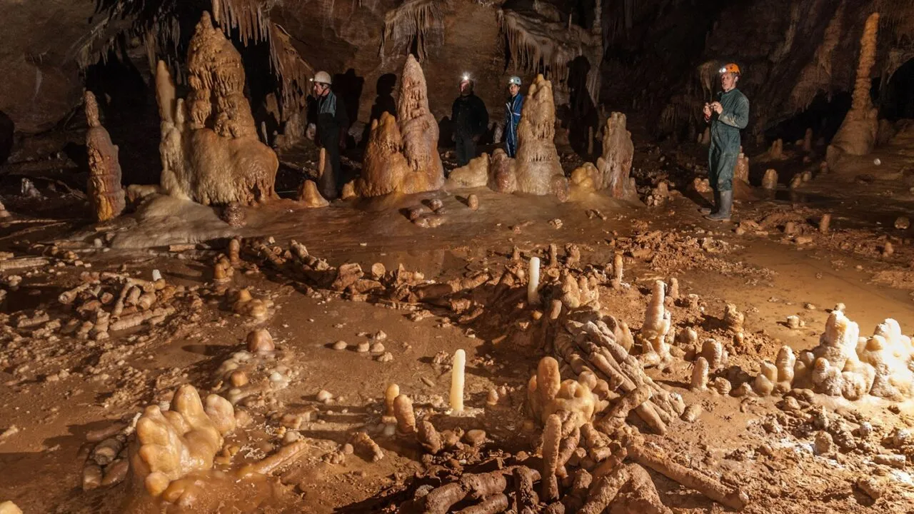 Fire personer i huleudstyr står inde i et stort hulekammer fyldt med stalagmitter, stalaktitter og andre kalkstensformationer spredt ud over den våde, mudrede jord. Hulen er svagt oplyst af deres pandelamper.