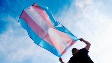 En person holder et transkønnet pride-flag med lyseblå, lyserøde og hvide striber op mod en lyseblå himmel med spredte skyer.