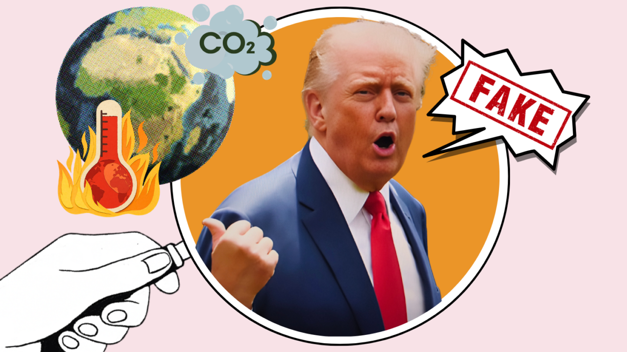 En hånd peger på en brændende jord med en CO2-sky, en tegning af en mand i jakkesæt siger "FAKE" i en taleboble, hvilket antyder benægtelse af klimaforandringer. Baggrunden er lyserød.