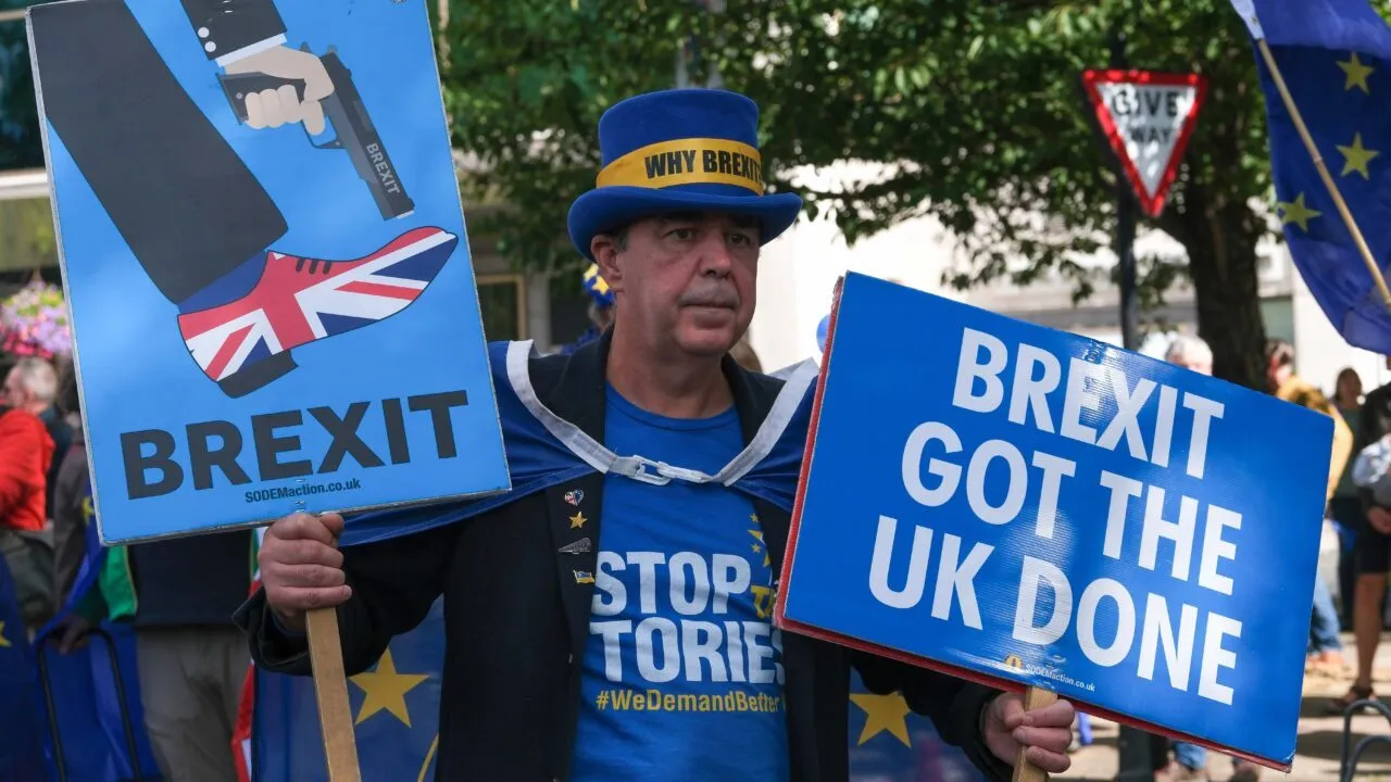 En mand iført en blå kasket med påskriften »WHY BREXIT« og en T-shirt med påskriften »STOP TORIES« holder to skilte: på det ene står der »BREXIT« sammen med et billede af en fod, der træder på Union Jack, og på det andet står der »BREXIT GOT THE UK DONE.«.