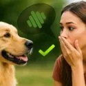 En kvinde holder sig overrasket for munden, mens hun kigger på en golden retriever. En taleboble med et lydikon og et grønt flueben vises mellem dem, hvilket tyder på vellykket kommunikation. Grøn, sløret udendørs baggrund.