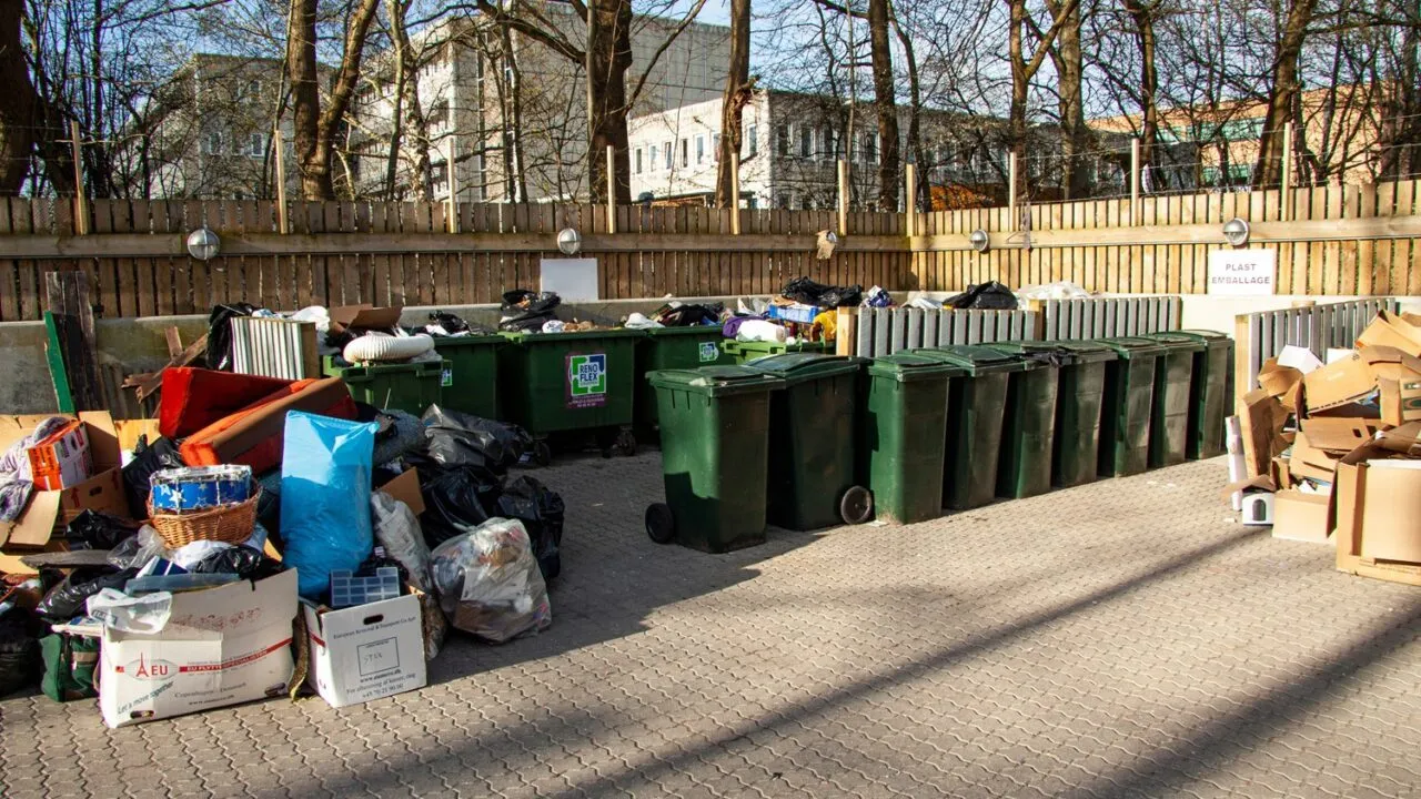 Et genbrugsområde med overfyldte grønne skraldespande, omgivet af bunker af pap, affaldssække og kasserede genstande. Træer og bygninger er synlige i baggrunden.
