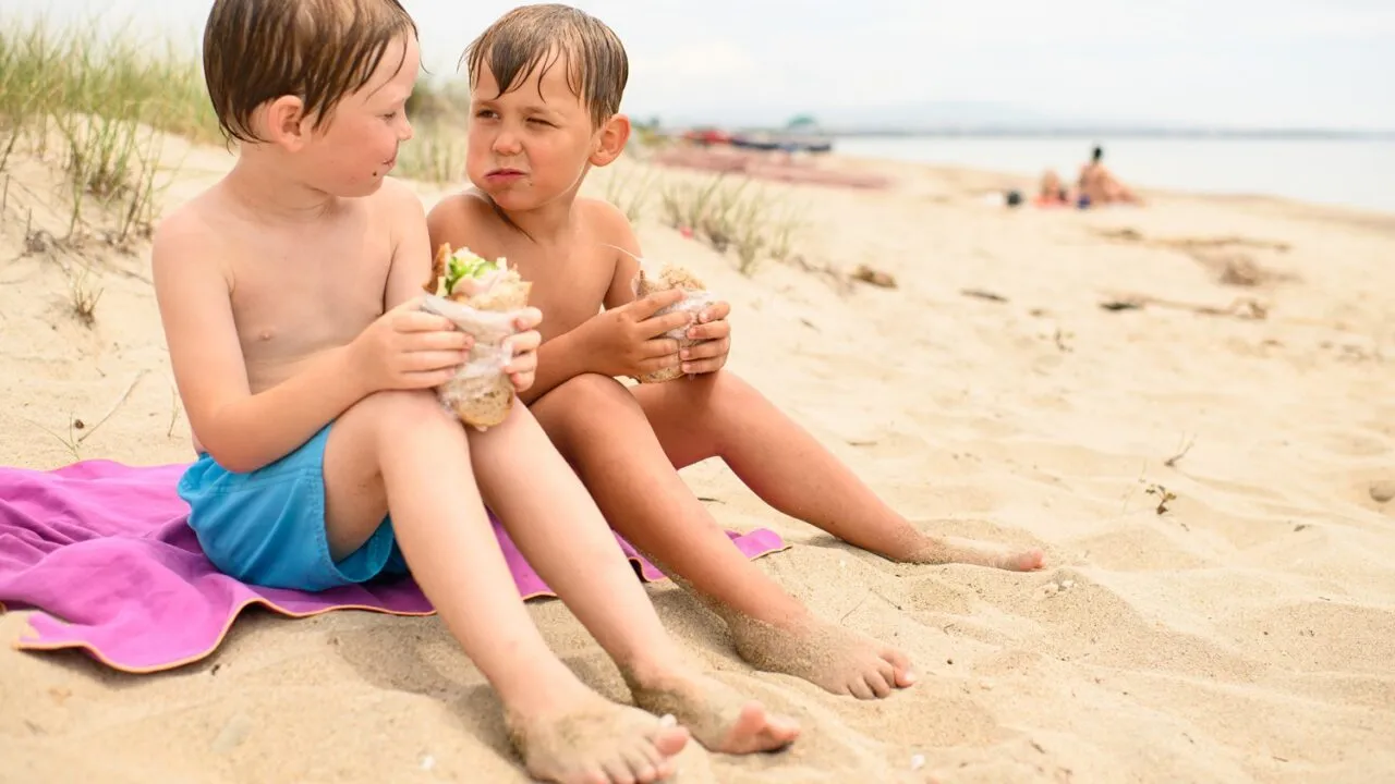 To små drenge sidder på et strandhåndklæde og spiser sandwich, med sand på fødderne og benene. I baggrunden ses stranden, græsset og vandet, og længere nede ad kysten står der et par mennesker.