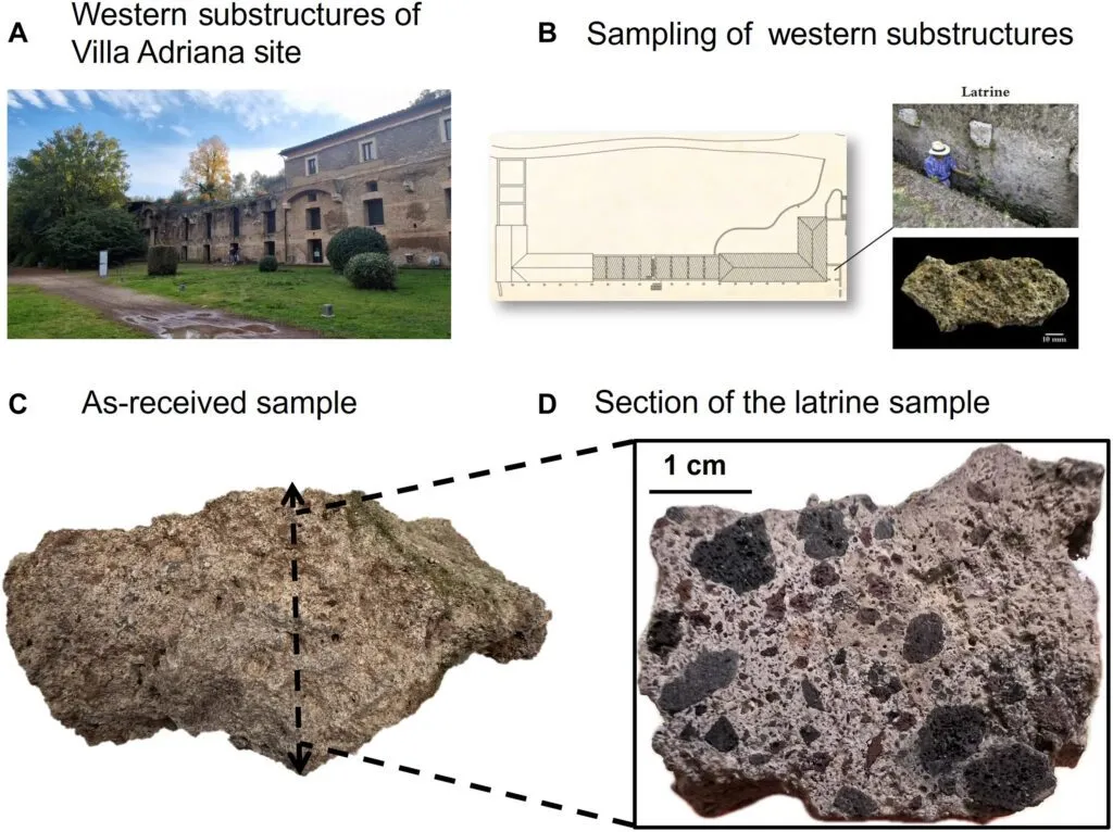 Sammensat billede, der viser de vestlige underbygninger i Villa Adriana, et kort og fotos af et prøveudtagningssted ved en latrin, en stor betonprøve samt et nærbillede af dens tværsnit med en skala på 1 cm.