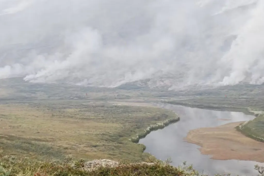 En bugtende flod snor sig gennem et grønt landskab, mens der stiger røg op fra adskillige steder, hvor vegetationen brænder i det fjerne, hvilket skaber en diset, røgfyldt atmosfære under en bleg himmel.