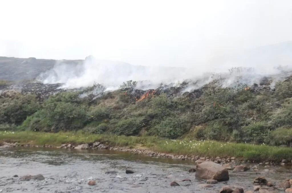 Der stiger røg op fra en buskbrand, der brænder sig vej gennem den grønne vegetation på en bjergskråning tæt på en flod, hvor der ligger sten og græs langs vandkanten under en overskyet himmel.