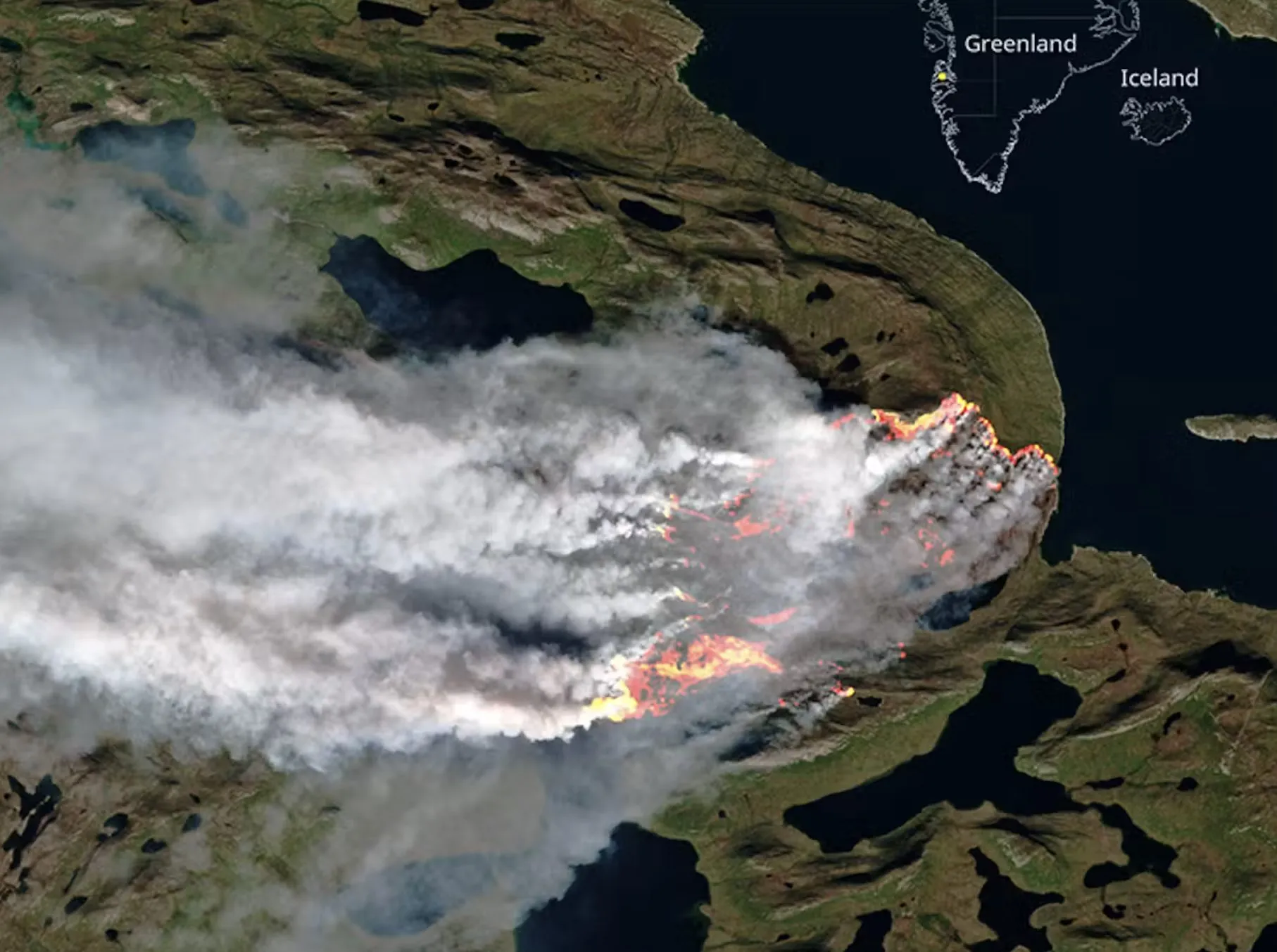 Satellitbilledet viser en stor skovbrand, der hærger i det grønne landskab, med tæt røg og synlige flammer. Dele af Grønland og Island er markeret i billedets øverste højre hjørne over det mørkeblå vand.
