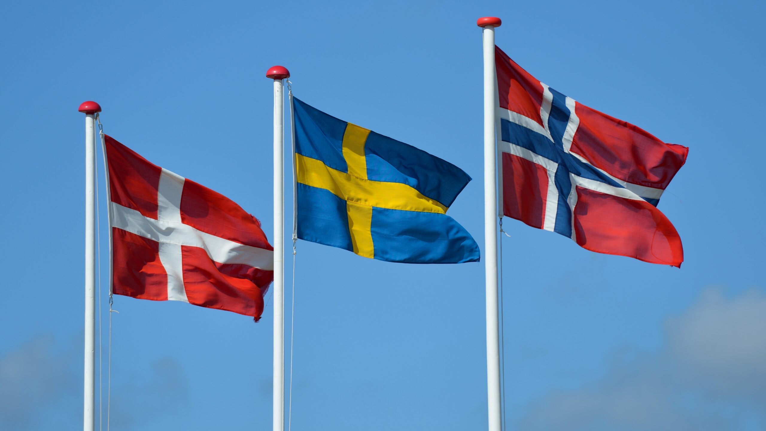 Tre flag på flagstænger mod en blå himmel: det rød-hvide danske flag, det blå-gule svenske flag og det rød-hvid-blå norske flag, som alle vajer i vinden.