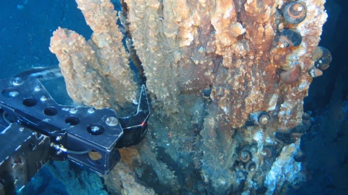 En robotarm udforsker en hydrotermisk kilde under vandet, omgivet af klynger af rørorme og snegleagtige organismer, der sidder fast på den klippeagtige overflade.