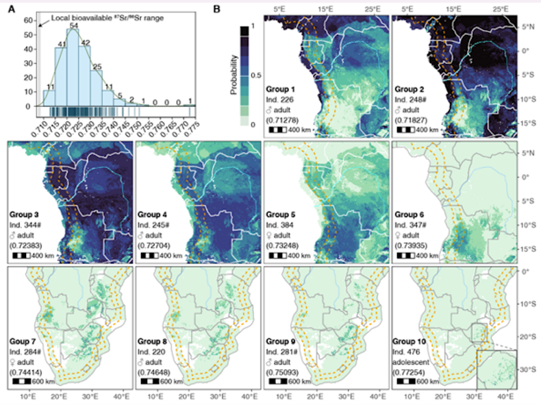 Panel A viser et histogram over ^87Sr/^86Sr-værdier; panel B præsenterer ni sandsynlighedskort, der hver især viser sandsynligheden for den geografiske oprindelse af de enkelte prøver i det sydlige Afrika. Kortene er skraveret fra lys til mørk grøn eller blå.