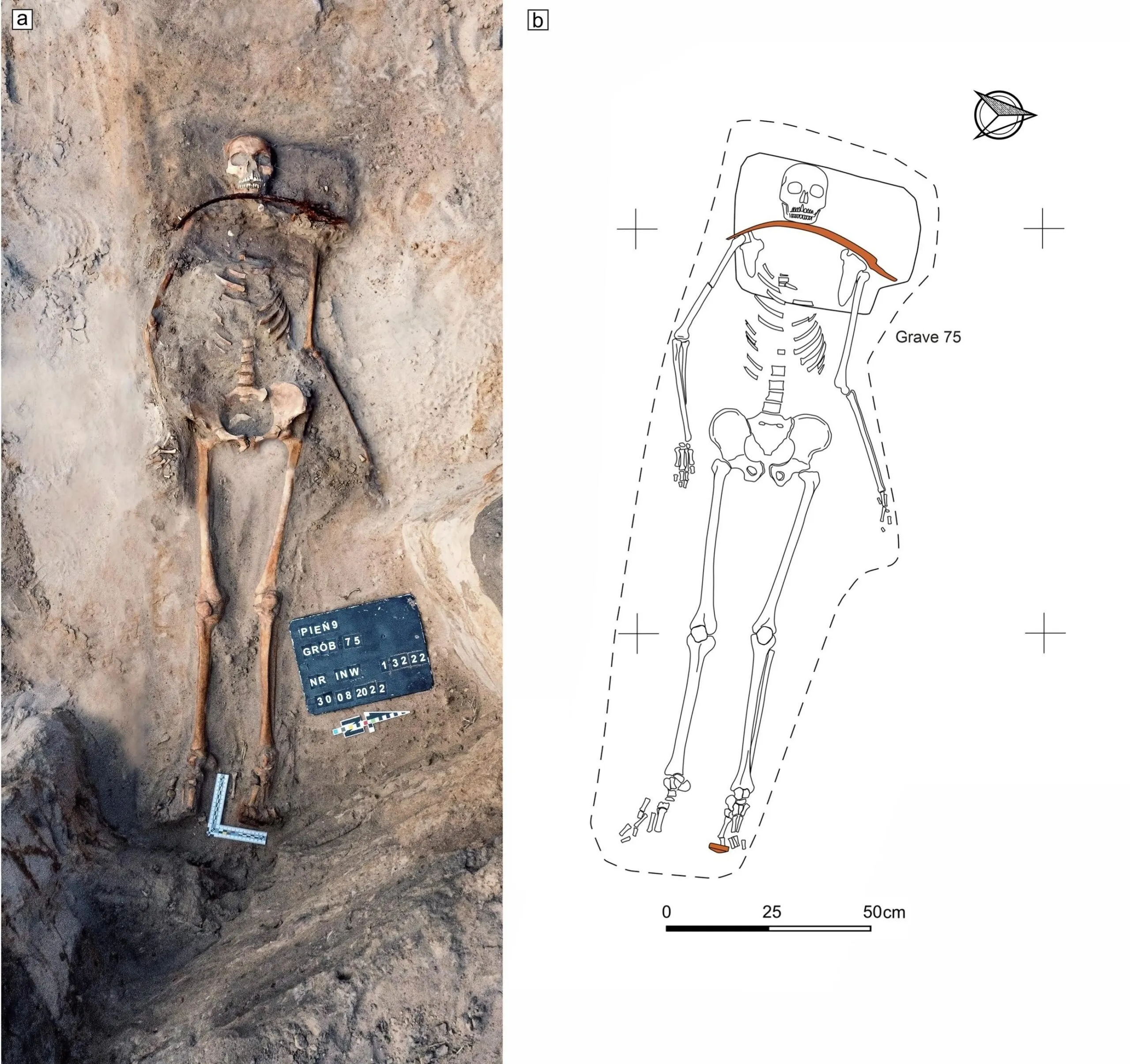 Der vises et luftfoto af et menneskeligt skelet i en grav ved siden af et mærket diagram, der viser skeletets placering og gravens omrids; der er angivet en målestok.