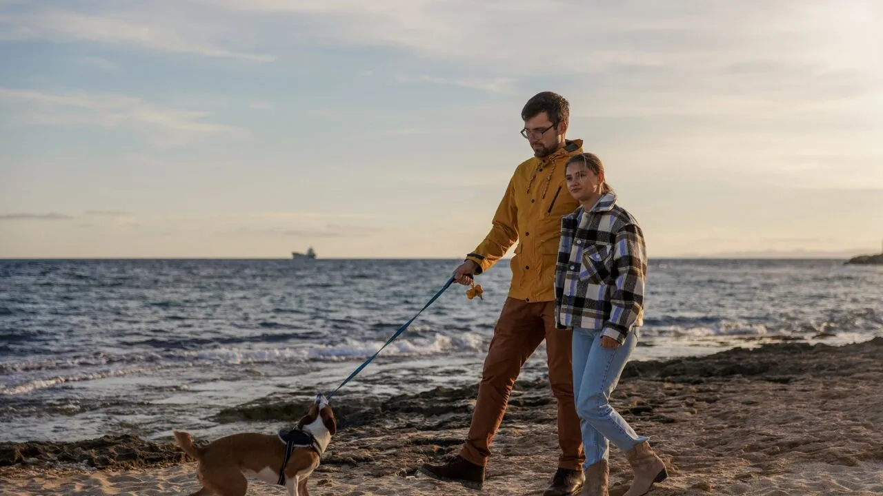 Et par går langs en sandstrand ved solnedgang, mens de holder hinanden i hånden og går tur med en hund i snor. Havet og et skib i det fjerne kan ses i baggrunden.