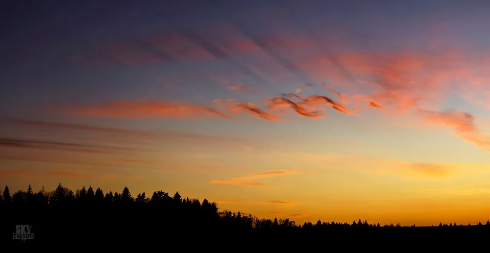Silhuetten af en skov under en farverig solnedgangshimmel, hvor striber af orange, lyserøde og lilla skyer breder sig ud over horisonten.
