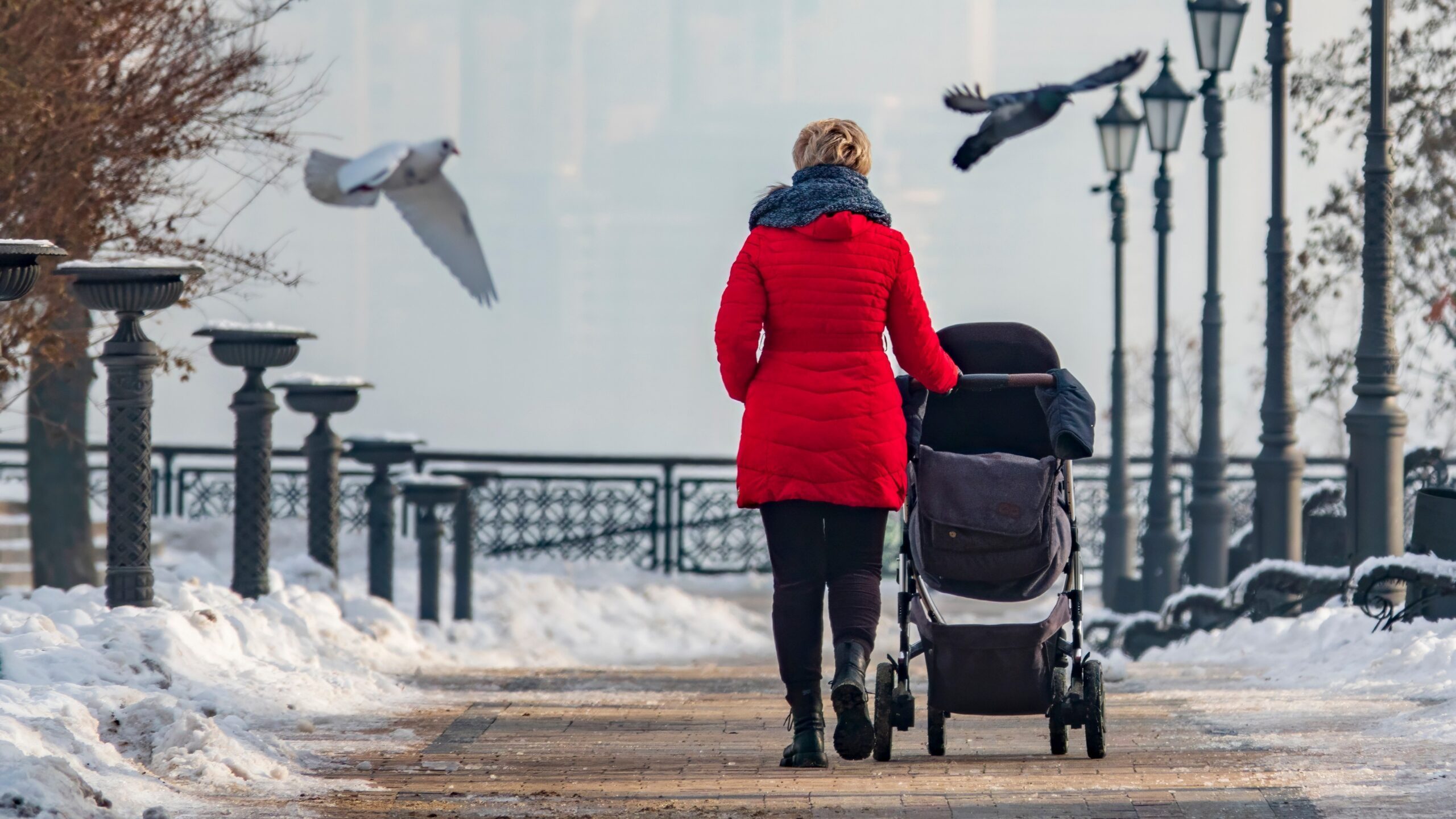 En person i en rød frakke skubber en barnevogn langs en snedækket sti i parken, der er omgivet af træer og gadelygter, mens fuglene flyver over hovedet.
