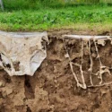 To par hvide bomuldsunderbukser er begravet halvt ned i jorden; det ene par er stort set intakt, mens det andet er stærkt nedbrudt, så man kun kan se sømmene og et par stykker stof. Der vokser græs og planter over jordoverfladen.