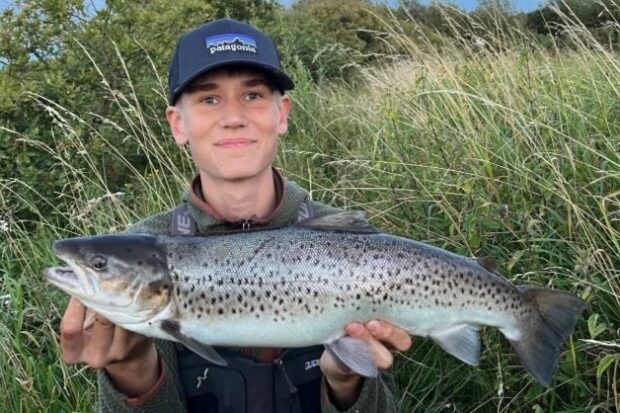 Ørred-rekord i Varde Å: Sådan får vi langt flere fisk i de danske vandløb