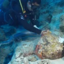En dykker bruger et sugeslange til at fjerne sediment fra en stengenstand, der ligger neddykket på havbunden.