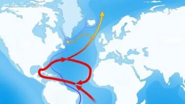 Kort over Atlanterhavet, der viser Golfstrømmen og den nordatlantiske strøm, hvor røde og gule pile angiver overfladestrømme, og blå pile angiver dybhavsstrømme.