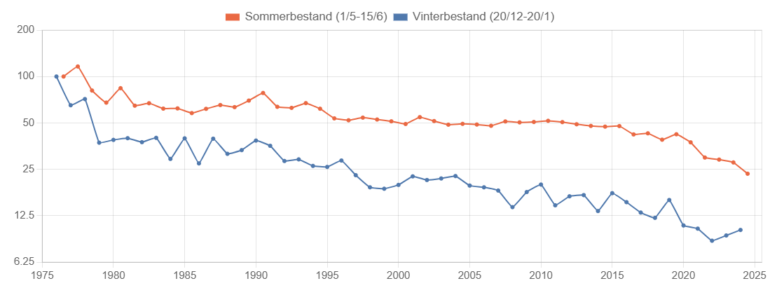 Linjediagram, der viser et langvarigt fald i den indeksbaserede bestand af husspurve i Danmark fra 1975 til 2024, hvor sommer- og vintertællingerne sammenlignes.
