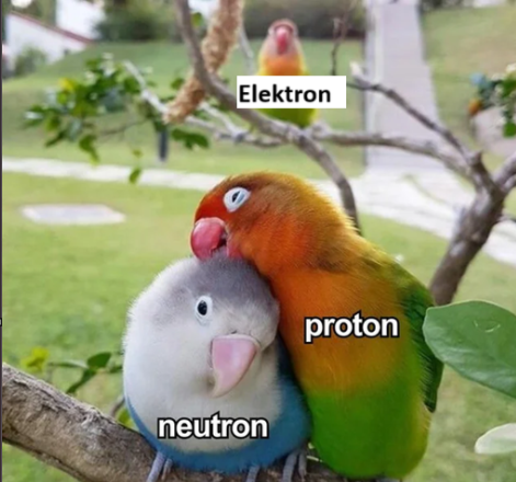 To turtelduer sad på en gren, mærket neutron og proton, med en tredje fugl i baggrunden, mærket Elektron.