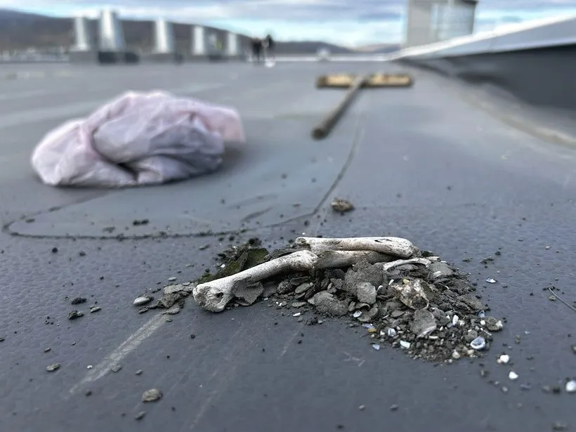 En lille bunke murbrokker og to hvide knoglefragmenter på et fladt tag, med et krøllet lyserødt klæde og en kost i baggrunden. Billedet er let uskarpt i det fjerne.