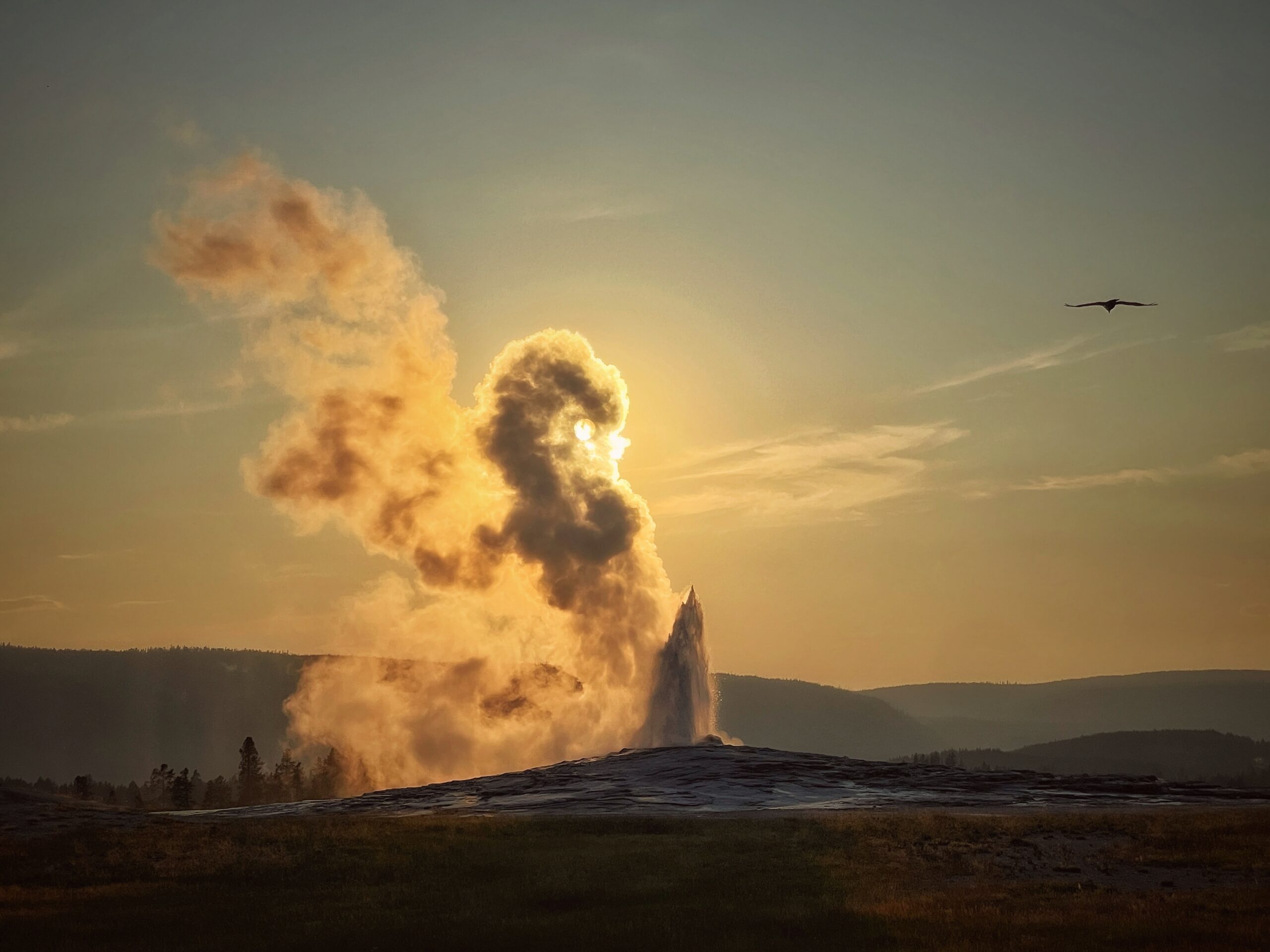 En gejser sprøjter en stor dampsky op mod en solnedgang i modlys, mens en fugl flyver i det fjerne.