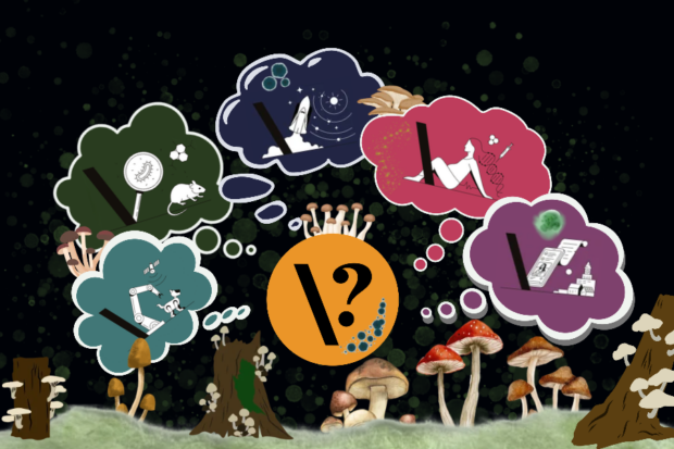 Weekendquizzen: Hvor meget ved du om svampe?